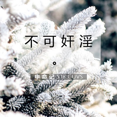 Picture 07 - 申 命 记 5:18 CUVS - 不 可 奸 淫 - Bible Verse Picture