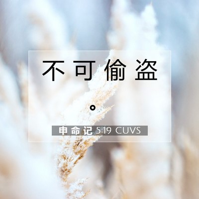 Picture 07 - 申 命 记 5:19 CUVS - 不 可 偷 盗 - Bible Verse Picture