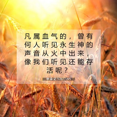 Picture 07 - 申 命 记 5:26 CUVS - 凡 属 血 气 的 ， 曾 有 何 人 听 见 - Bible Verse Picture