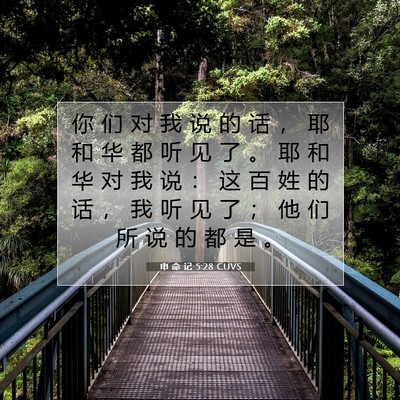 Picture 07 - 申 命 记 5:28 CUVS - 你 们 对 我 说 的 话 ， 耶 和 华 都 - Bible Verse Picture