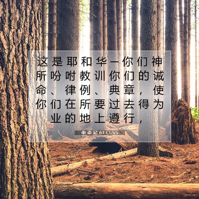 Picture 07 - 申 命 记 6:1 CUVS - 这 是 耶 和 华 ─ 你 们 神 所 吩 咐 - Bible Verse Picture