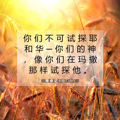 Picture 07 - 申 命 记 6:16 CUVS - 你 们 不 可 试 探 耶 和 华 ─ 你 们 - Bible Verse Picture