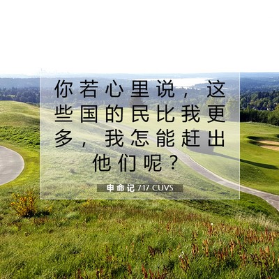 Picture 07 - 申 命 记 7:17 CUVS - 你 若 心 里 说 ， 这 些 国 的 民 比 - Bible Verse Picture