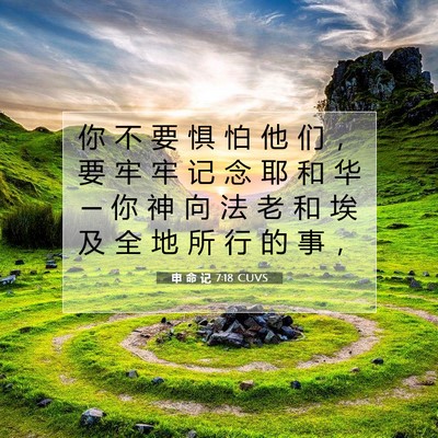 Picture 07 - 申 命 记 7:18 CUVS - 你 不 要 惧 怕 他 们 ， 要 牢 牢 记 - Bible Verse Picture