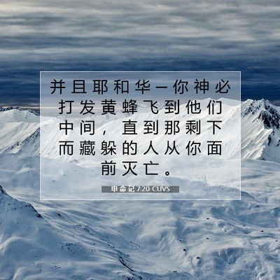 Picture 07 - 申 命 记 7:20 CUVS - 并 且 耶 和 华 ─ 你 神 必 打 发 黄 - Bible Verse Picture