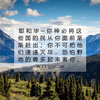 Picture 07 - 申 命 记 7:22 CUVS - 耶 和 华 ─ 你 神 必 将 这 些 国 的 - Bible Verse Picture