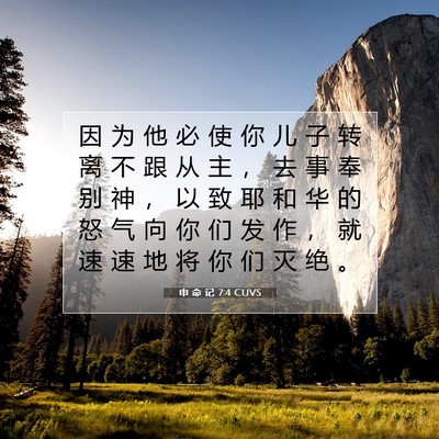 Picture 07 - 申 命 记 7:4 CUVS - 因 为 他 必 使 你 儿 子 转 离 不 跟 - Bible Verse Picture