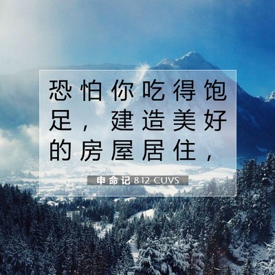 Picture 07 - 申 命 记 8:12 CUVS - 恐 怕 你 吃 得 饱 足 ， 建 造 美 好 - Bible Verse Picture