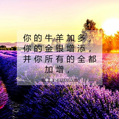 Picture 07 - 申 命 记 8:13 CUVS - 你 的 牛 羊 加 多 ， 你 的 金 银 增 - Bible Verse Picture