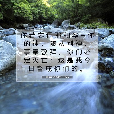 Picture 07 - 申 命 记 8:19 CUVS - 你 若 忘 记 耶 和 华 ─ 你 的 神 ， - Bible Verse Picture