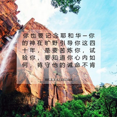Picture 07 - 申 命 记 8:2 CUVS - 你 也 要 记 念 耶 和 华 ─ 你 的 神 - Bible Verse Picture