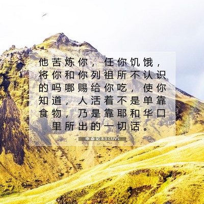 Picture 07 - 申 命 记 8:3 CUVS - 他 苦 炼 你 ， 任 你 饥 饿 ， 将 你 - Bible Verse Picture