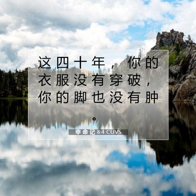 Picture 07 - 申 命 记 8:4 CUVS - 这 四 十 年 ， 你 的 衣 服 没 有 穿 - Bible Verse Picture