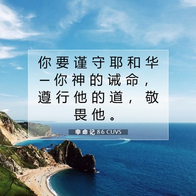 Picture 07 - 申 命 记 8:6 CUVS - 你 要 谨 守 耶 和 华 ─ 你 神 的 诫 - Bible Verse Picture