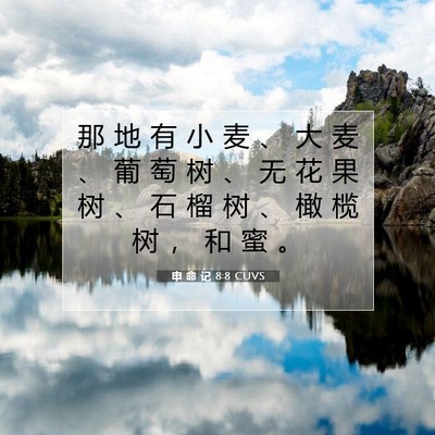 Picture 07 - 申 命 记 8:8 CUVS - 那 地 有 小 麦 、 大 麦 、 葡 萄 树 - Bible Verse Picture