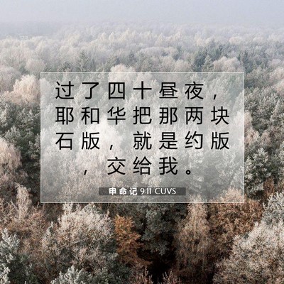 Picture 07 - 申 命 记 9:11 CUVS - 过 了 四 十 昼 夜 ， 耶 和 华 把 那 - Bible Verse Picture