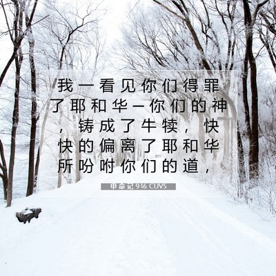 Picture 07 - 申 命 记 9:16 CUVS - 我 一 看 见 你 们 得 罪 了 耶 和 华 - Bible Verse Picture