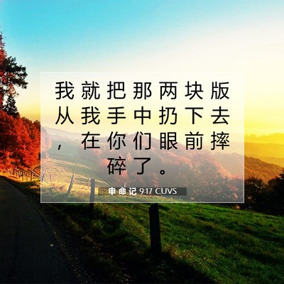 Picture 07 - 申 命 记 9:17 CUVS - 我 就 把 那 两 块 版 从 我 手 中 扔 - Bible Verse Picture