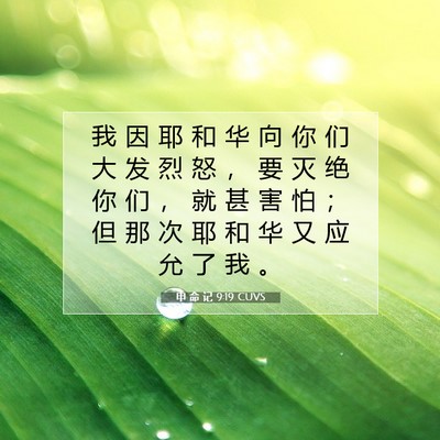 Picture 07 - 申 命 记 9:19 CUVS - 我 因 耶 和 华 向 你 们 大 发 烈 怒 - Bible Verse Picture