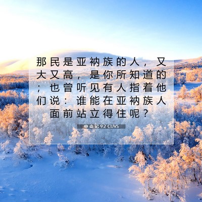 Picture 07 - 申 命 记 9:2 CUVS - 那 民 是 亚 衲 族 的 人 ， 又 大 又 - Bible Verse Picture