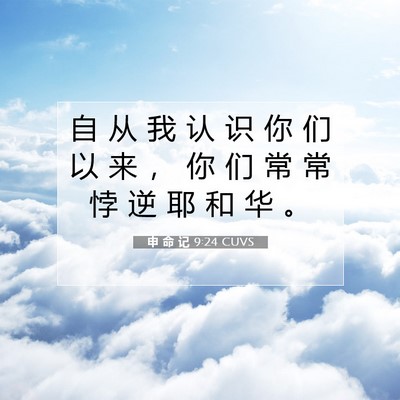 Picture 07 - 申 命 记 9:24 CUVS - 自 从 我 认 识 你 们 以 来 ， 你 们 - Bible Verse Picture