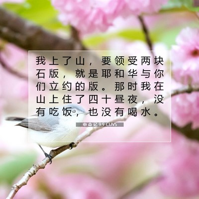 Picture 07 - 申 命 记 9:9 CUVS - 我 上 了 山 ， 要 领 受 两 块 石 版 - Bible Verse Picture
