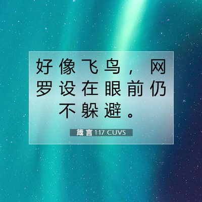 Picture 07 - 箴 言 1:17 CUVS - 好 像 飞 鸟 ， 网 罗 设 在 眼 前 仍 - Bible Verse Picture