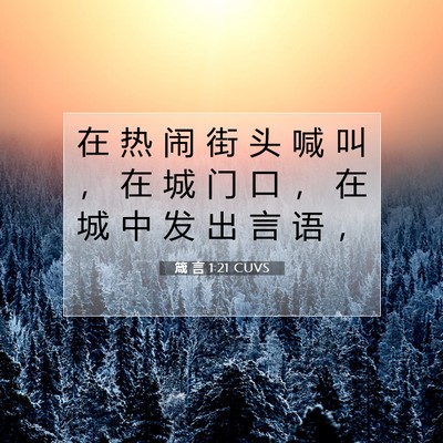 Picture 07 - 箴 言 1:21 CUVS - 在 热 闹 街 头 喊 叫 ， 在 城 门 口 - Bible Verse Picture