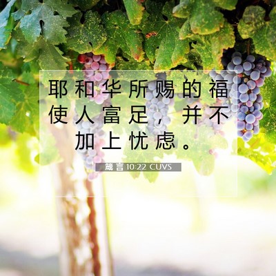 Picture 07 - 箴 言 10:22 CUVS - 耶 和 华 所 赐 的 福 使 人 富 足 ， - Bible Verse Picture