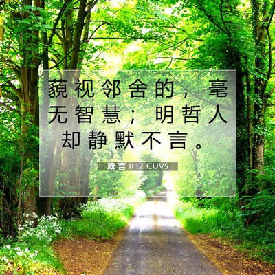 Picture 07 - 箴 言 11:12 CUVS - 藐 视 邻 舍 的 ， 毫 无 智 慧 ； 明 - Bible Verse Picture