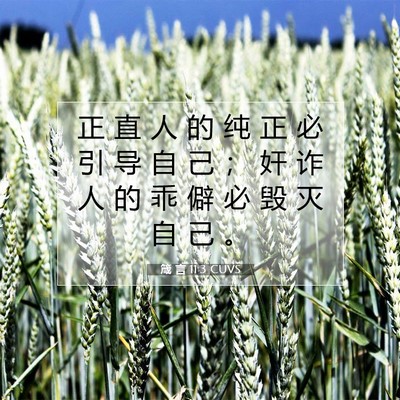 Picture 07 - 箴 言 11:3 CUVS - 正 直 人 的 纯 正 必 引 导 自 己 ； - Bible Verse Picture