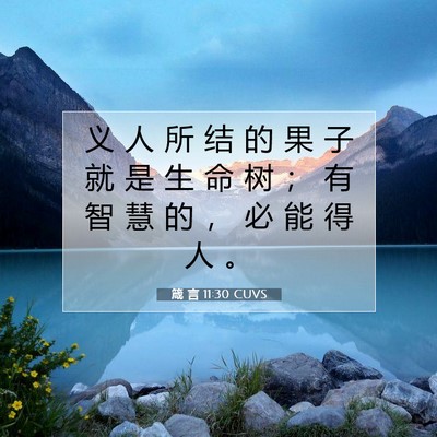 Picture 07 - 箴 言 11:30 CUVS - 义 人 所 结 的 果 子 就 是 生 命 树 - Bible Verse Picture
