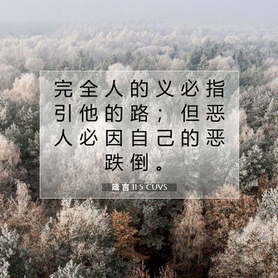Picture 07 - 箴 言 11:5 CUVS - 完 全 人 的 义 必 指 引 他 的 路 ； - Bible Verse Picture