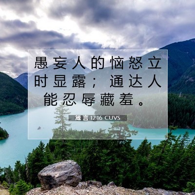 Picture 07 - 箴 言 12:16 CUVS - 愚 妄 人 的 恼 怒 立 时 显 露 ； 通 - Bible Verse Picture