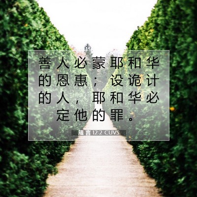 Picture 07 - 箴 言 12:2 CUVS - 善 人 必 蒙 耶 和 华 的 恩 惠 ； 设 - Bible Verse Picture