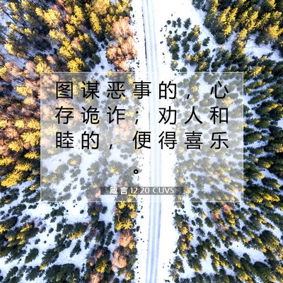Picture 07 - 箴 言 12:20 CUVS - 图 谋 恶 事 的 ， 心 存 诡 诈 ； 劝 - Bible Verse Picture