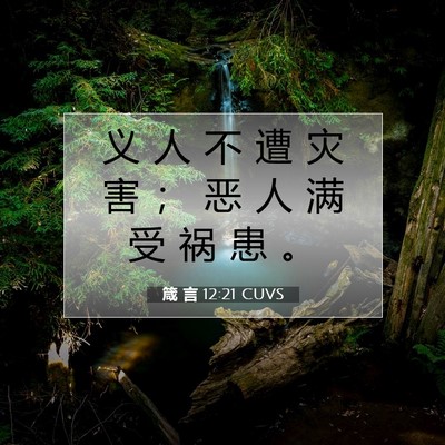 Picture 07 - 箴 言 12:21 CUVS - 义 人 不 遭 灾 害 ； 恶 人 满 受 祸 - Bible Verse Picture