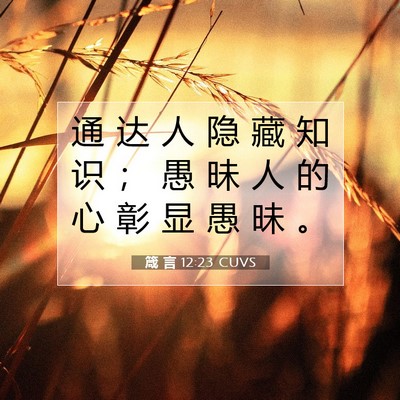 Picture 07 - 箴 言 12:23 CUVS - 通 达 人 隐 藏 知 识 ； 愚 昧 人 的 - Bible Verse Picture