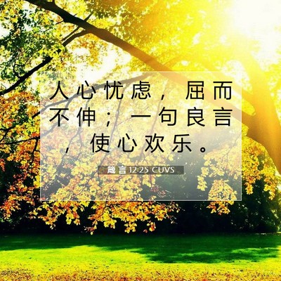 Picture 07 - 箴 言 12:25 CUVS - 人 心 忧 虑 ， 屈 而 不 伸 ； 一 句 - Bible Verse Picture