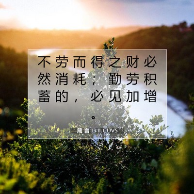 Picture 07 - 箴 言 13:11 CUVS - 不 劳 而 得 之 财 必 然 消 耗 ； 勤 - Bible Verse Picture
