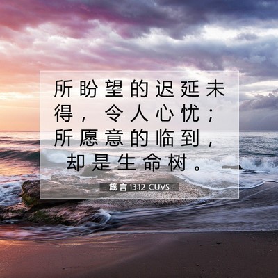Picture 07 - 箴 言 13:12 CUVS - 所 盼 望 的 迟 延 未 得 ， 令 人 心 - Bible Verse Picture