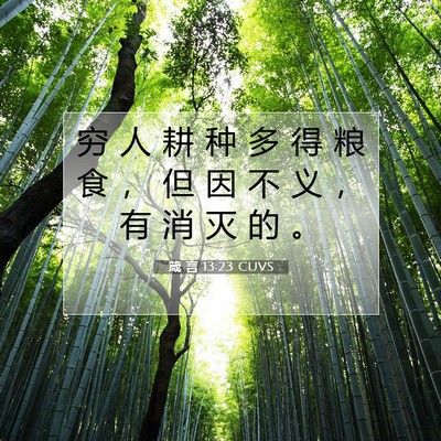 Picture 07 - 箴 言 13:23 CUVS - 穷 人 耕 种 多 得 粮 食 ， 但 因 不 - Bible Verse Picture