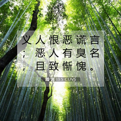 Picture 07 - 箴 言 13:5 CUVS - 义 人 恨 恶 谎 言 ； 恶 人 有 臭 名 - Bible Verse Picture