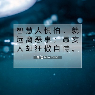 Picture 07 - 箴 言 14:16 CUVS - 智 慧 人 惧 怕 ， 就 远 离 恶 事 ； - Bible Verse Picture