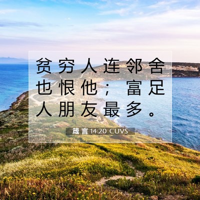 Picture 07 - 箴 言 14:20 CUVS - 贫 穷 人 连 邻 舍 也 恨 他 ； 富 足 - Bible Verse Picture