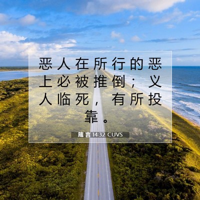 Picture 07 - 箴 言 14:32 CUVS - 恶 人 在 所 行 的 恶 上 必 被 推 倒 - Bible Verse Picture