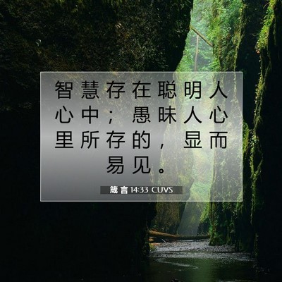 Picture 07 - 箴 言 14:33 CUVS - 智 慧 存 在 聪 明 人 心 中 ； 愚 昧 - Bible Verse Picture