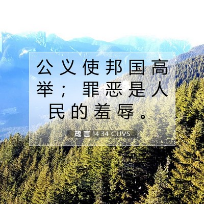 Picture 07 - 箴 言 14:34 CUVS - 公 义 使 邦 国 高 举 ； 罪 恶 是 人 - Bible Verse Picture