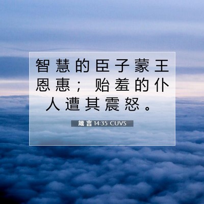 Picture 07 - 箴 言 14:35 CUVS - 智 慧 的 臣 子 蒙 王 恩 惠 ； 贻 羞 - Bible Verse Picture