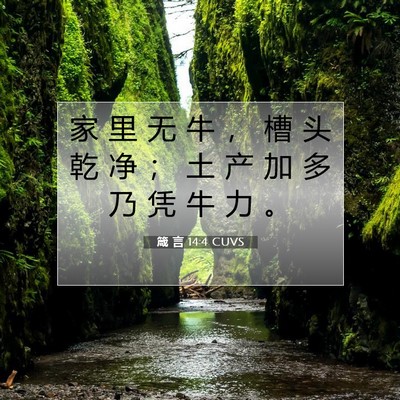 Picture 07 - 箴 言 14:4 CUVS - 家 里 无 牛 ， 槽 头 乾 净 ； 土 产 - Bible Verse Picture